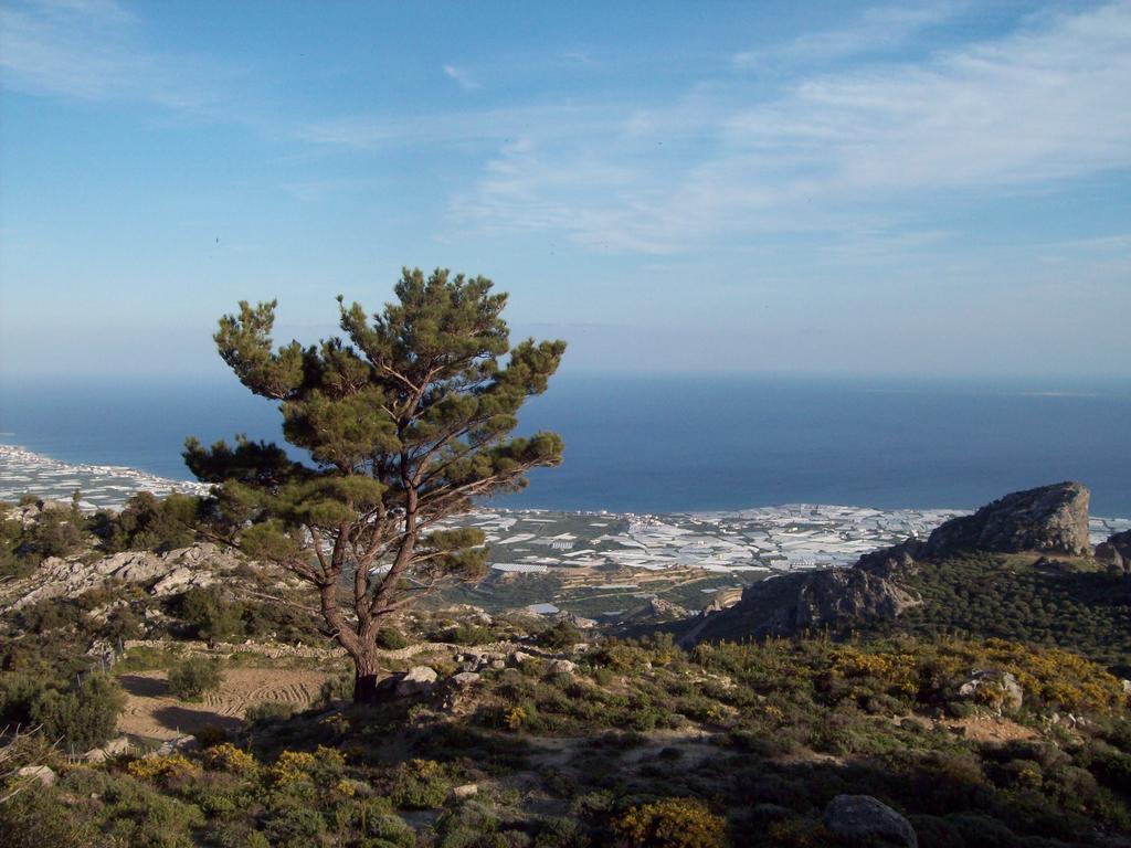 Diktynna Traditional Villas Anatolí Buitenkant foto